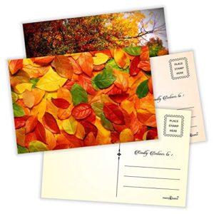 PARTH iMPEX Seasonal Nature Postcards - (Pack of 54) 4"x6" Bulk Variety of Fall Autumn Winter Summer Spring Theme with Mailing Side - all Occasion Cards