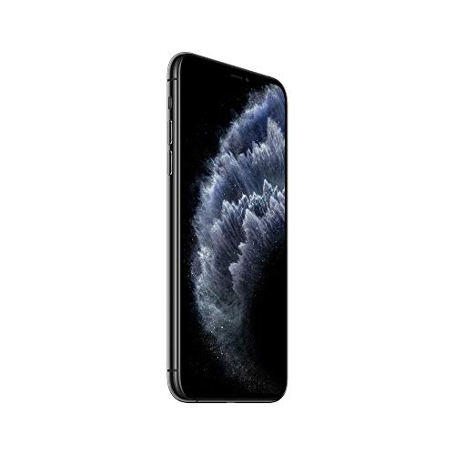 Apple iPhone 11 Pro Max [256GB, Space Gray] + Carrier Subscription [Cricket Wireless]