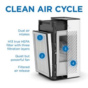 Medify Air MA-25 Air Purifier with H13 True HEPA Filter | 500 sq ft Coverage | for Allergens, Wildfire Smoke, Dust, Odors, Pollen, Pet Dander | Quiet 99.7% Removal to 0.1 Microns | Black, 2-Pack