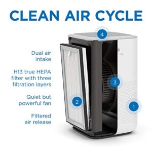 Medify Air MA-15 Air Purifier with H13 True HEPA Filter | 330 sq ft Coverage | for Allergens, Wildfire Smoke, Dust, Odors, Pollen, Pet Dander | Quiet 99.7% Removal to 0.1 Microns | Silver, 2-Pack