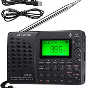 ZHIWHIS Portable Bluetooth Radio, FM AM Shortwave Radios with Sleep Timer and Preset Function, Rechargeable Digital Recorder, Stereo MP3 Player with Lyric Display, Support Micro SD Card and AUX