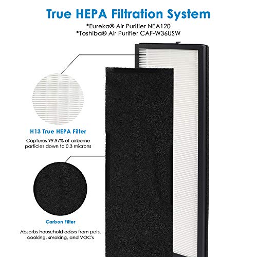 Flintar H13 True HEPA Replacement Filter, Compatible with Eureka NEA120 and Toshiba Smart WiFi Air Purifier, H13 Grade True HEPA (NEA-F1) and 4 Activated Carbon Filters (NEA-C1) (Set of 1)