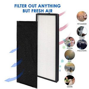 Flintar H13 True HEPA Replacement Filter, Compatible with Eureka NEA120 and Toshiba Smart WiFi Air Purifier, H13 Grade True HEPA (NEA-F1) and 4 Activated Carbon Filters (NEA-C1) (Set of 1)