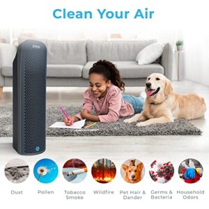 Pure Enrichment® PureZone™ Elite True HEPA Large Room Tower Air Purifier with Air Quality Monitor, 4 Stage Filtration and UV-C Light, Helps Destroy Bacteria, Smoke, Pollen & Dust (Graphite)