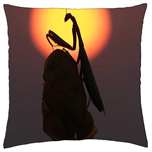 LESGAULEST Throw Pillow Cover (16x16 inch) - Mantis Prayingmantis Sunset