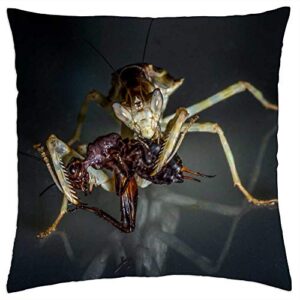 lesgaulest throw pillow cover (16x16 inch) - mantis insect nature deadly