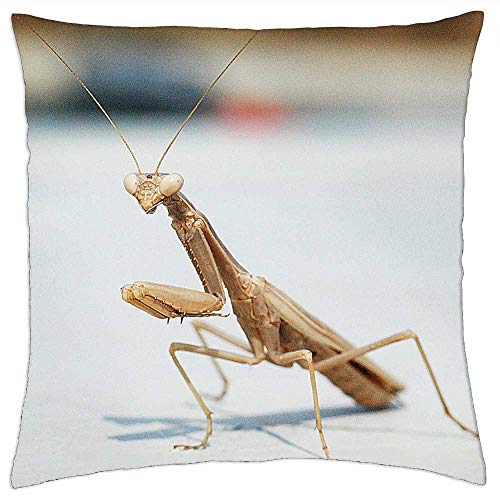 LESGAULEST Throw Pillow Cover (16x16 inch) - Mantis Macro Insect Greece