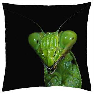 lesgaulest throw pillow cover (16x16 inch) - mantis insect macro