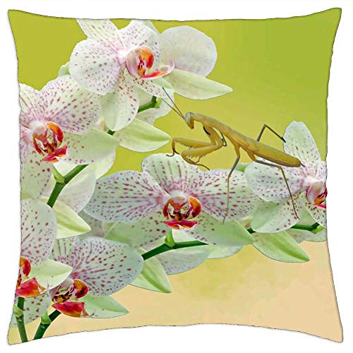 LESGAULEST Throw Pillow Cover (16x16 inch) - Mantis Orchid Flower Animals Insect