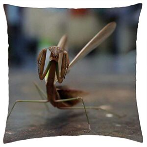 lesgaulest throw pillow cover (16x16 inch) - mantis preying mantis insect long foot