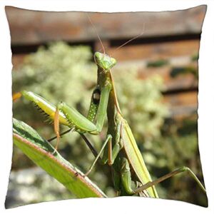 lesgaulest throw pillow cover (16x16 inch) - mantis insects nature animal