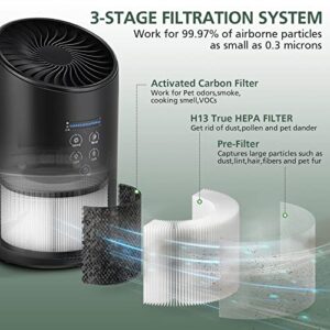 BS-03 True HEPA Replacement Filter for PARTU and Slevoo BS-03 HEPA Air Purifier Part U & Part X, 3-in-1 Filtration System, 2 Pack
