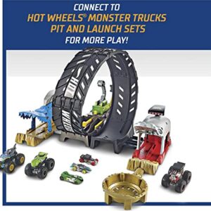 ​Hot Wheels Monster Truck Epic Loop Challenge Play Set with Truck and car