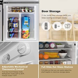 Whirlpool WHR31TS4E 3.1 Cu. Ft. Compact Refrigerator Dual Door Fridge, Adjustable Mechanical Thermostat with True Freezer, Stainless Steel Look