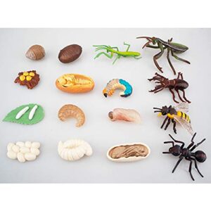 Toymany 16PCS Insect Figurines Life Cycle of Stag Beetle,Honey Bee,Mantis,Ant Plastic Safariology Bug Figures Toy Kit Caterpillars to Butterflies Educational School Project for Kids Toddlers