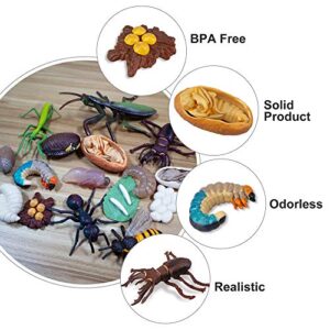 Toymany 16PCS Insect Figurines Life Cycle of Stag Beetle,Honey Bee,Mantis,Ant Plastic Safariology Bug Figures Toy Kit Caterpillars to Butterflies Educational School Project for Kids Toddlers