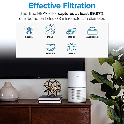 LEVOIT Core 300 Air Purifier Replacement Filter, 3-In-1 HEPA, High-Efficiency Activated Carbon, Core300-RF, 2 Pack, White