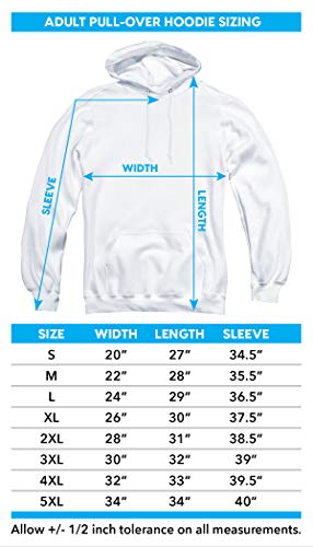 Zeta Phi Beta Sorority Official Distressed Primary Unisex Adult Pull-Over Hoodie, Athletic Heather, 2X-Large