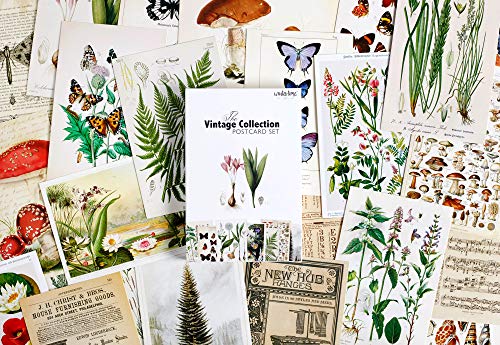 Vintage Collection Postcard Set: Pack of 30 Retro Style Botanical, Nature and Ephemera Postcards by Wintertime Crafts