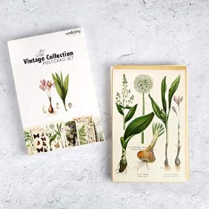 Vintage Collection Postcard Set: Pack of 30 Retro Style Botanical, Nature and Ephemera Postcards by Wintertime Crafts