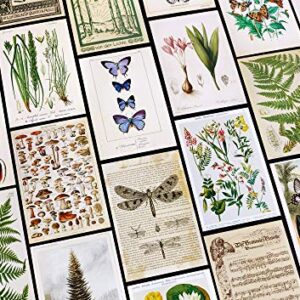 Vintage Collection Postcard Set: Pack of 30 Retro Style Botanical, Nature and Ephemera Postcards by Wintertime Crafts