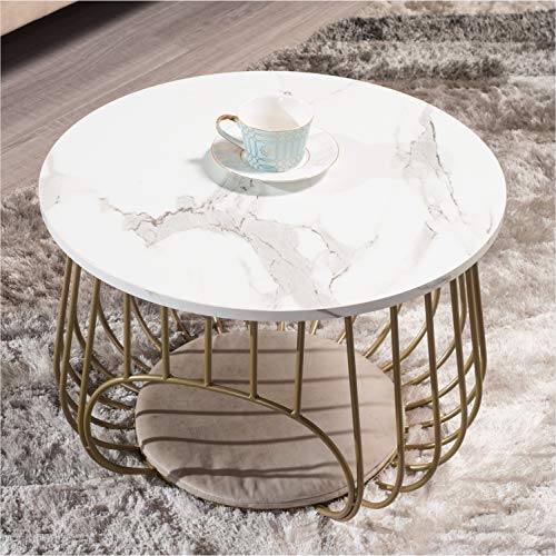 Moncot 22" Round Coffee Table,Cocktail Table MDF Top White Marble Pattern Gold Metal Frame,Modern Coffee Table with Openning Cat House for Living Room(White Marble+Gold)