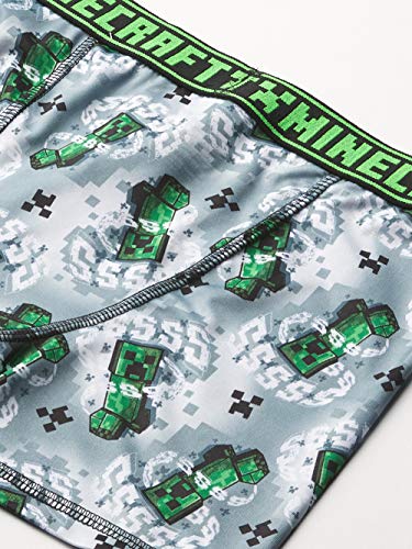 Minecraft Boys' Briefs and Boxer Briefs available in Multiple Pack Sizes in sizes 4, 6, 8, 10 and 12