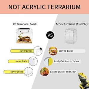 Reptile Growth Mini Reptile Terrarium,8" x 8"x 8" Reptile Tank with Full View Visually Appealing，for Insect，Fish，Tarantula，Hermit Crab，Jumping Spider，Iguana，Tortoise，Leopard Gecko，Frog，Bearded Dragon