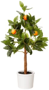 amazon brand - stone & beam artificial orange citrus tree with ceramic pot, 2 feet (24 inches), indoor