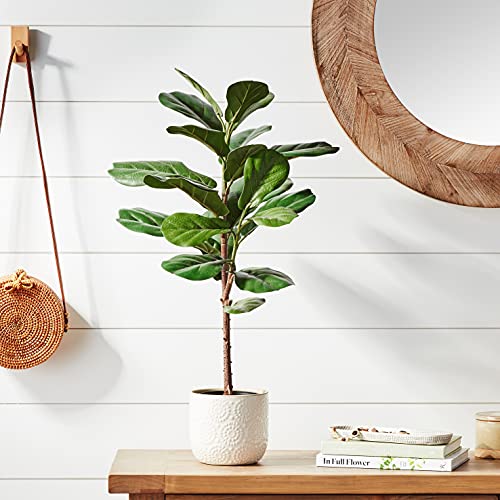 Amazon Brand - Stone & Beam Artificial Fiddle Leaf Fig Tree with Plastic Nursery Pot, 2.6 Feet (32 Inches) / Small, Indoor
