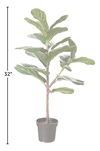 Amazon Brand - Stone & Beam Artificial Fiddle Leaf Fig Tree with Plastic Nursery Pot, 2.6 Feet (32 Inches) / Small, Indoor