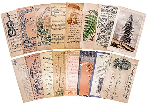 Knaid Vintage Style Postcard Set, Pack of 30 Botanical Plants Butterfly Mushroom Leaves Fruits Retro Postcards