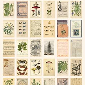 Knaid Vintage Style Postcard Set, Pack of 30 Botanical Plants Butterfly Mushroom Leaves Fruits Retro Postcards