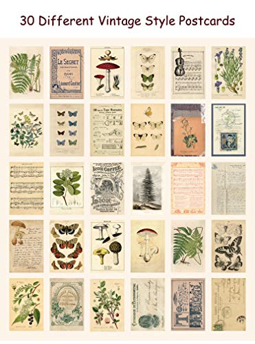 Knaid Vintage Style Postcard Set, Pack of 30 Botanical Plants Butterfly Mushroom Leaves Fruits Retro Postcards