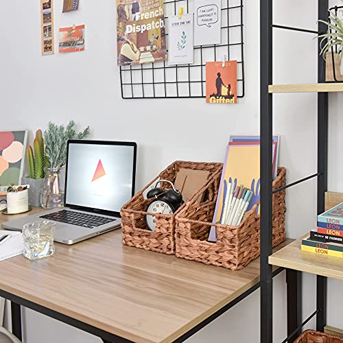 GRANNY SAYS Wicker Storage Baskets for Shelves, Trapezoid Woven Basket with Handles, Waterproof Storage Wicker Baskets for Organizing Pantry Kitchen Cabinet, Caramel Orange, 2-Pack