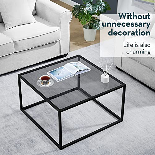 SAYGOER Glass Coffee Table, Small Modern Coffee Table Square Simple Center Tables for Living Room 26.7 x 26.7 x 15.7 Inches, Gray Black