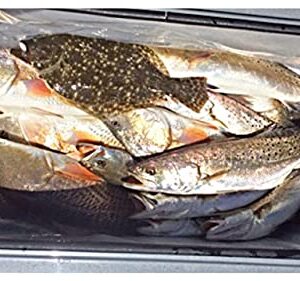 Allinliner Cooler Liner - 3-Pack Disposable Cooler Insert Liner - BPA-Free Plastic Liner for Carry Cooler - Heavy-Duty Liners for 60qt-95qt Day Coolers - Great for Fishing, Hunting, Camping, BBQ