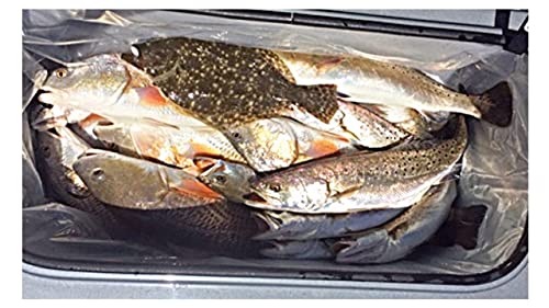 Allinliner Cooler Liner - 3-Pack Disposable Cooler Insert Liner - BPA-Free Plastic Liner for Carry Cooler - Heavy-Duty Liners for 60qt-95qt Day Coolers - Great for Fishing, Hunting, Camping, BBQ