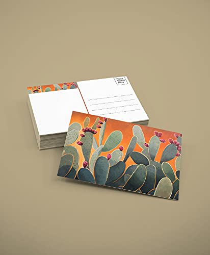 Stonehouse Collection Cactus Postcards - 4 x 6 Western Desert Postcards - 40 Postcards, 4 Different Cacuts Designs