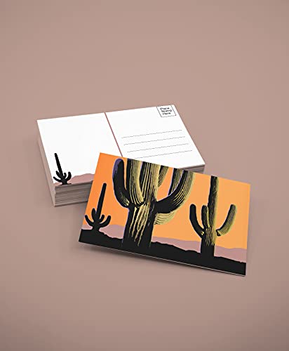 Stonehouse Collection Cactus Postcards - 4 x 6 Western Desert Postcards - 40 Postcards, 4 Different Cacuts Designs