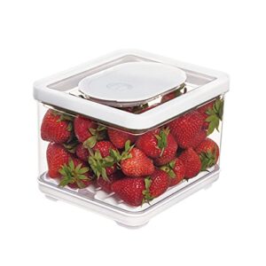 idesign id fresh food storage, small bin