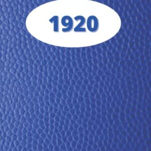 Zeta Phi Beta: Sisterhood 1920 Beautiful blue and white blank lined journal with the watermark of a dove and a rose on every page: Sisters of ZPhiB ... that Fine woman, Sorority Sister Merchandise