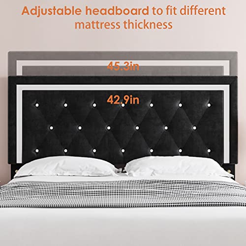 HITHOS Queen Bed Frame, Upholstered Platform Bed Frame with Modern Adjustable Headboard, Diamond Tufted Mattress Foundation with Wooden Slat Support, No Box Spring Needed, Easy Assembly (Queen, Black)