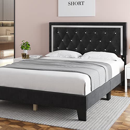 HITHOS Queen Bed Frame, Upholstered Platform Bed Frame with Modern Adjustable Headboard, Diamond Tufted Mattress Foundation with Wooden Slat Support, No Box Spring Needed, Easy Assembly (Queen, Black)