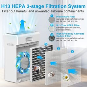 Air Purifiers for Home Large Room up to 1500ft², H13 HEPA Air Filter for Pets Hair Dander Smoke Pollen Dust, Ozone Free, Portable Air Purifiers for Bedroom Office Living Room, E-300L, White