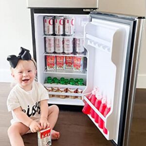 Anukis Compact Refrigerator 4.0 Cu Ft 2 Door Mini Fridge with Freezer For Apartment, Dorm, Office, Family, Basement, Garage, Silver