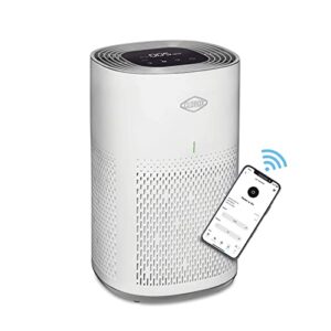 clorox smart air purifiers for home, true hepa filter, works with alexa, medium rooms up to 1,000 sq ft, removes 99.9% of viruses, wildfire smoke, mold, allergies, dust, auto mode, whisper quiet