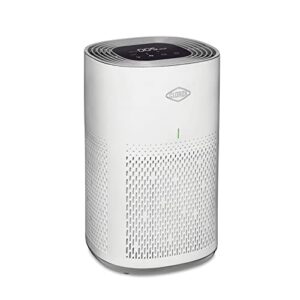 clorox air purifiers for home, true hepa filter, medium rooms up to 1,000 sq ft, removes 99.9% of mold, viruses, wildfire smoke, allergens, pet allergies, dust, auto mode, whisper quiet