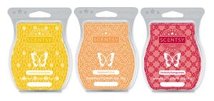 scentsy multi-pack - coconut lemongrass, sunkissed citrus, perfectly pomegranate