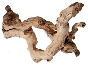 pisces 12" grapewood sandblasted branchy, varies